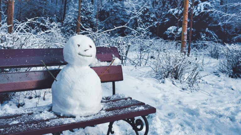 SnowMTL: A popular term