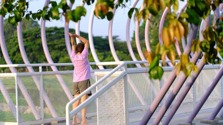 Soutaipasu: A Multifaceted Concept Bridging Technology, Cuisine, and Wellness