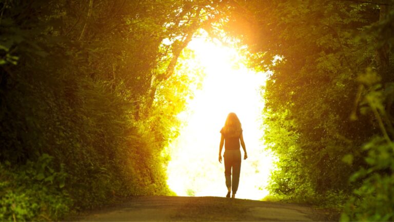 Fototaxia: The Biological Movement Toward or Away from Light